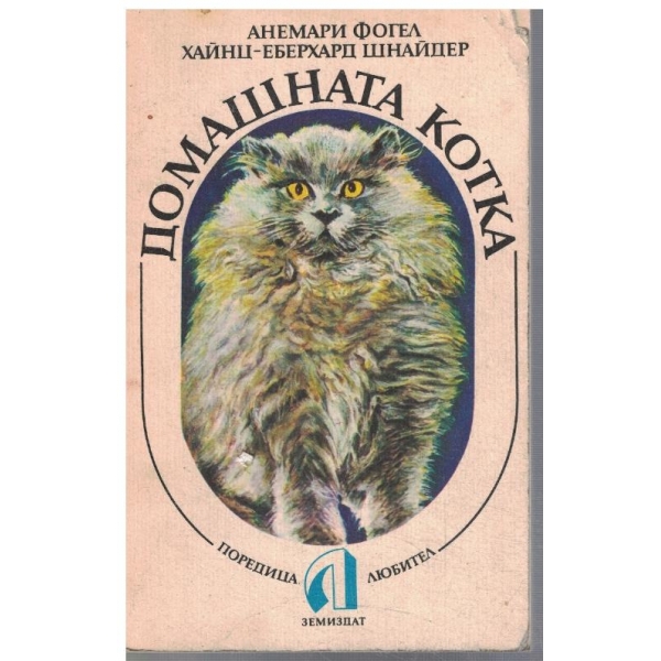 Домашна котка