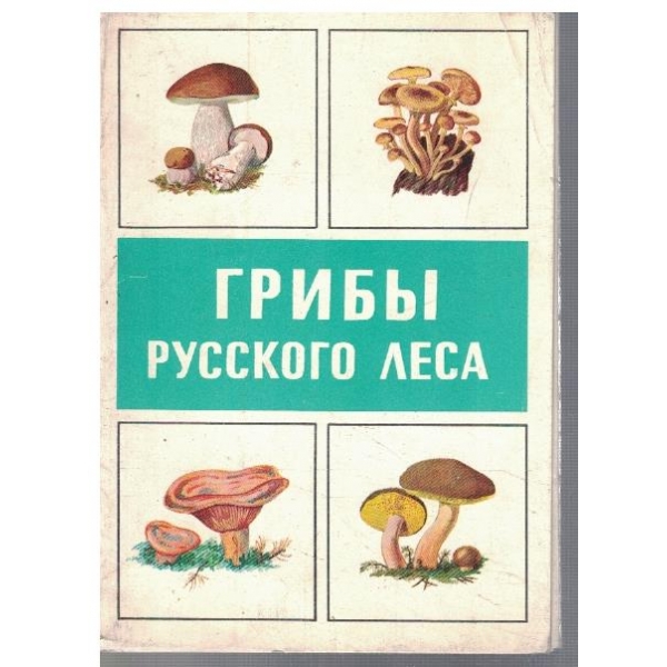 Гриби Русского леса