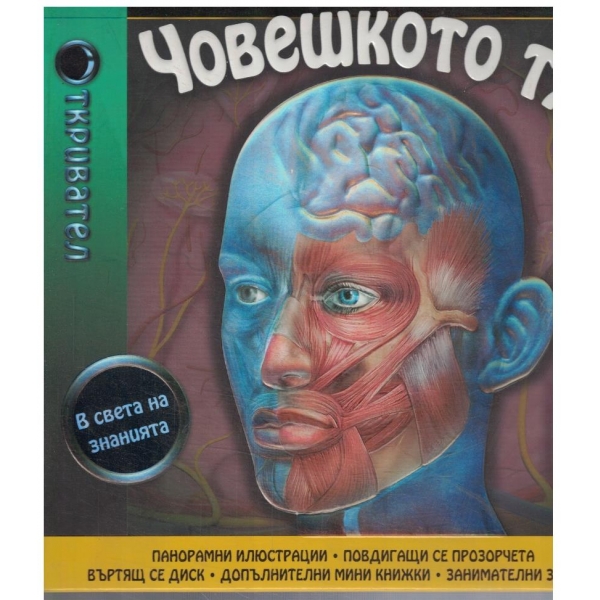 Човещкото тяло