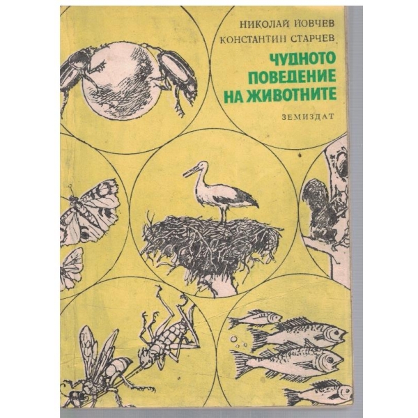 Чудното поведение на животните