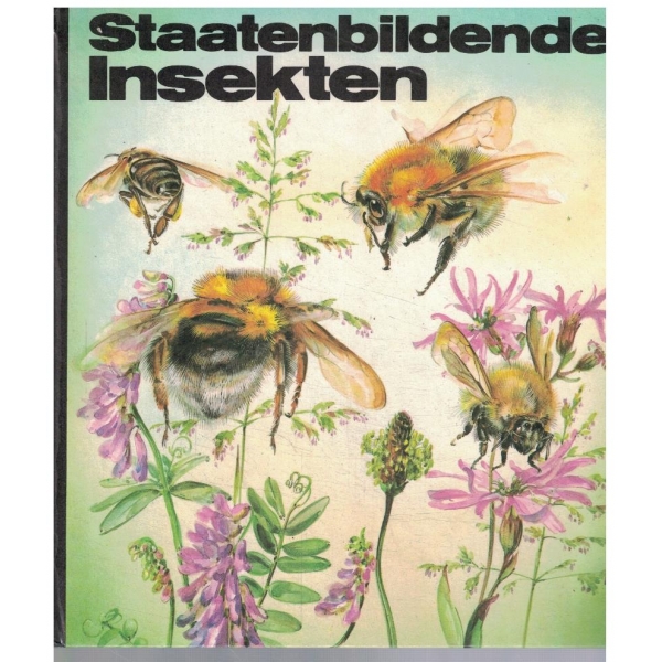 Staatenbildende insekten