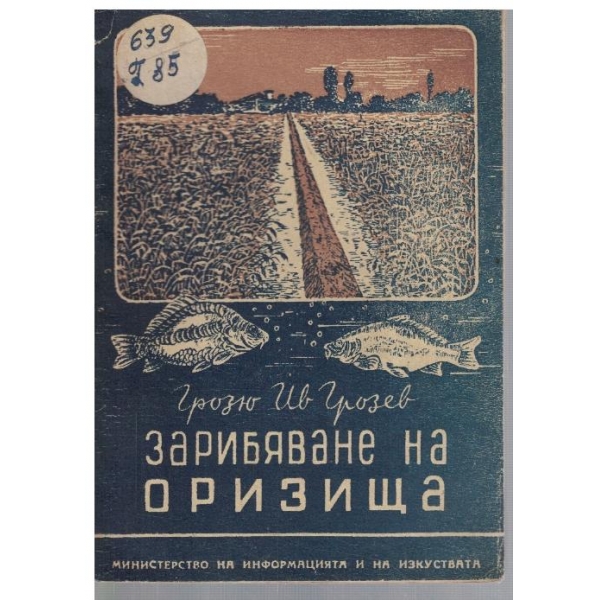 Зарибяване на оризища