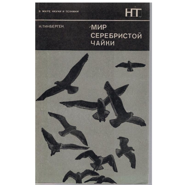 Мир серебристой чайки