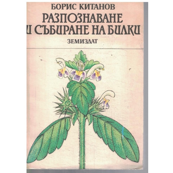Разпознаване и събиране на билки