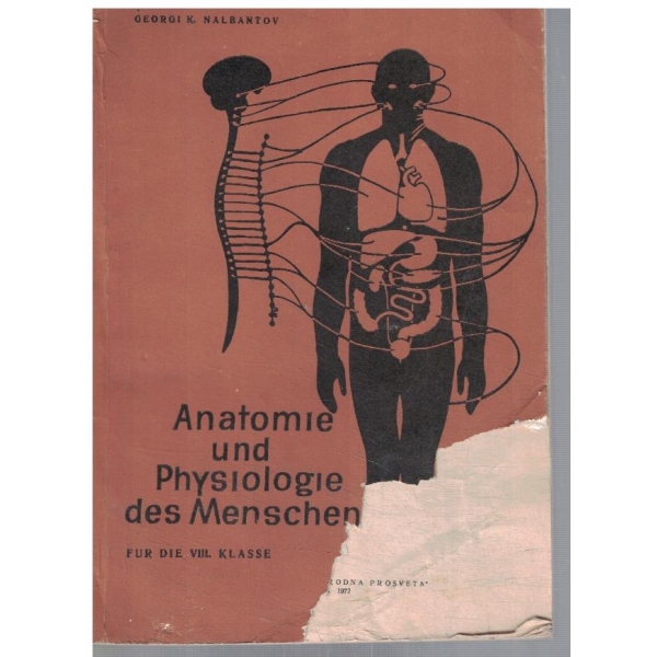 Anatomie und Physiologie des Menschen fur die 8 klasse