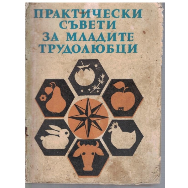 Практически съвети за младите трудолюбци