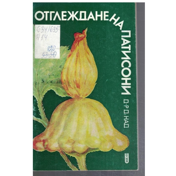 Отглеждане на ПАТИСОНИ
