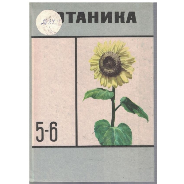 Ботаника для 5-6 классов